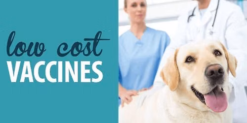 Low Cost Pet Vaccination Clinic