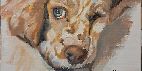 Capturing the Spirit - Animal Painting