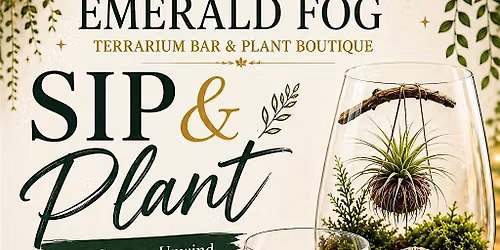 Sip and plant (Terrariums)