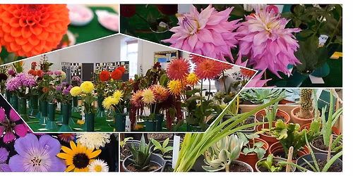 Monthly Talk: How Does My Garden Grow