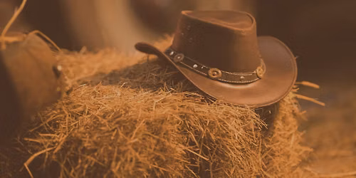 Hopefield Hoedown