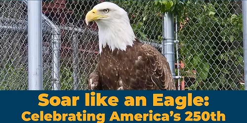 Soar Like an Eagle: Celebrating America's 250th