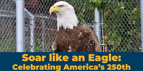 Soar Like an Eagle: Celebrating America's 250th