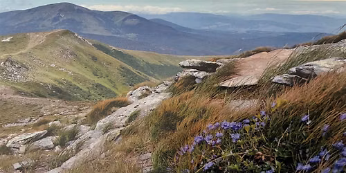 The Carpathians: Periphery or Center? by Patrice M. Dabrowski
