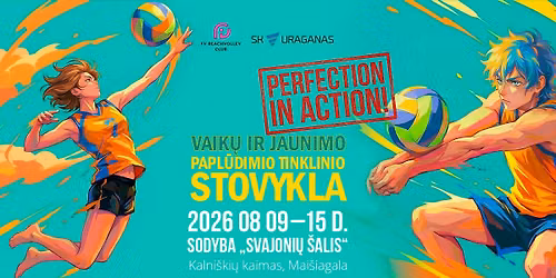 Vasaros papl\u016bdimio tinklinio stovykla moksleiviams
