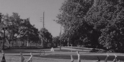 Mat Pilates + Paperback Coffee at Camden Waterford Lakes
