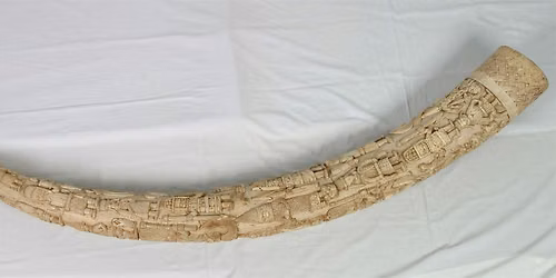 Lunchtime Talk: Collections and Repatriation