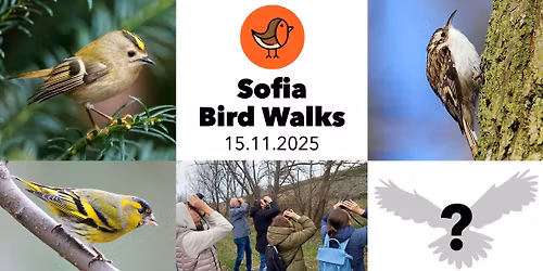 Sofia Bird Walks - \u0421\u0435\u0432\u0435\u0440\u0435\u043d \u043f\u0430\u0440\u043a - 15.11.2025