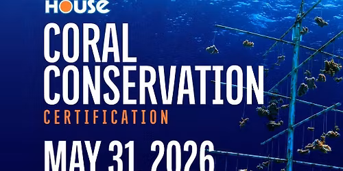 NEW SESSION ADDED - Coral Conservation with Eco Divers
