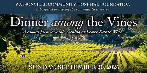 Dinner Among the Vines