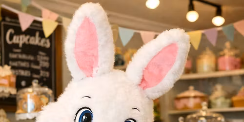 Pictures with the Easter Bunny 