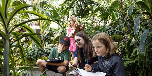 Mutt-art and Design Camp (Ages 8-10)