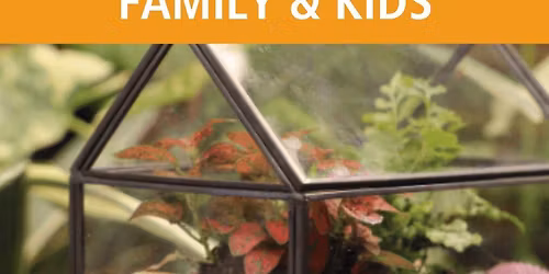 Tropical Terrariums