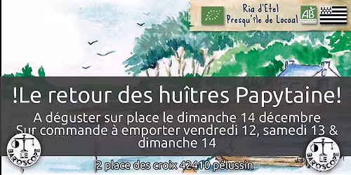 Huitres papytaine au Baroscope