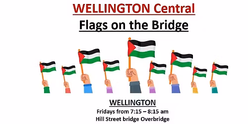 Wellington Central - Flags on the Bridge