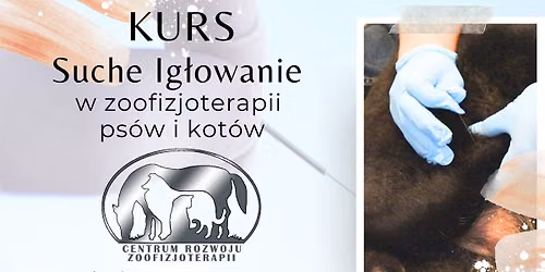 Kurs - Suche ig\u0142owanie w zoofizjoterapii ps\u00f3w i kot\u00f3w
