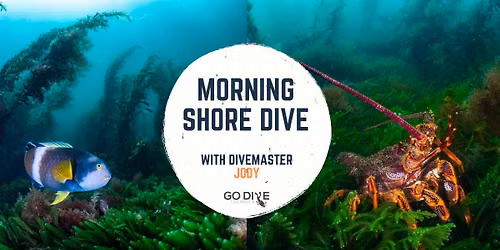 Spring Beach Shore Dive - With Divemaster Jody