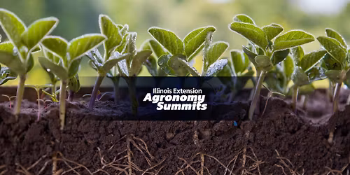 Springfield Illinois Agronomy Summit | Illinois Extension Agronomy Summits