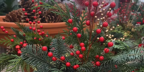 Winter Evergreen Workshops