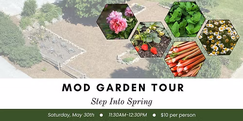MoD Garden Tour: Step Into Spring