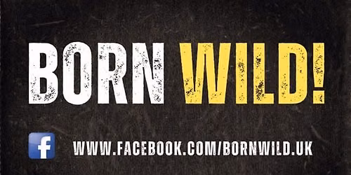 Born Wild at The Cow & Telescope, Southend