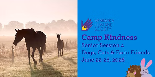 SOLD OUT - Camp Kindness Senior Session 4: Dogs, Cats & Farm Friends