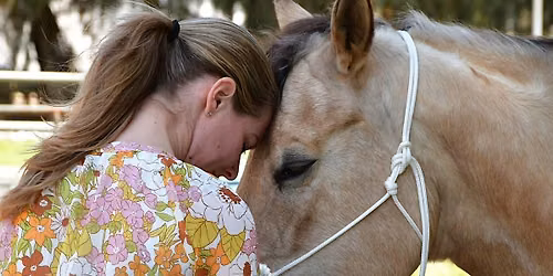 Equine Reiki-Sound Healing