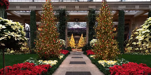 Longwood Christmas