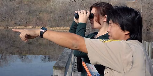 Bird Watching