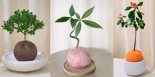 Kokedama Workshop