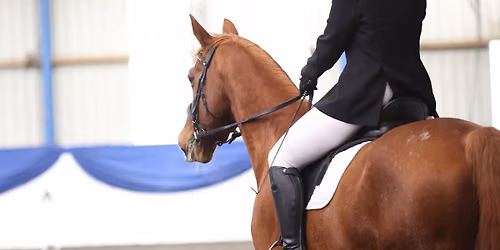Selston Equine of the Year Show and October Winter Series Dressage