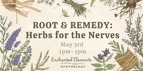 Root & Remedy: Herbs for Your Nerves
