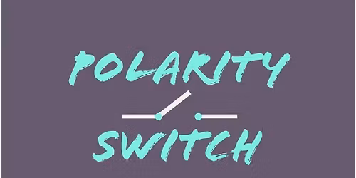 Polarity Switch @ Hogarths Newport