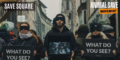 EINDHOVEN Save Square