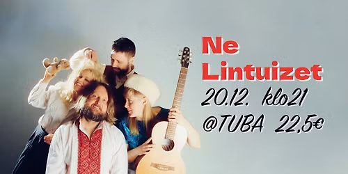 Ne Lintuizet