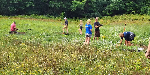 Native Pollinator Planting Workday