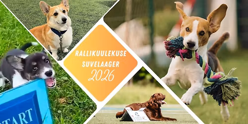 Rallikuulekuse suvelaager 2026