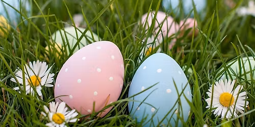 Easter Bunny Photos & Brunch