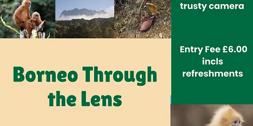 Borneo Through the Lens