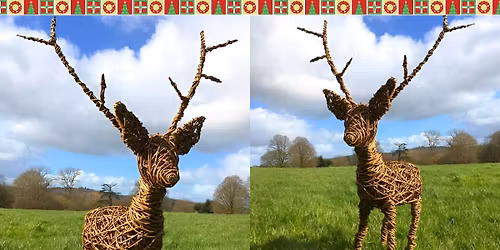 Willow Reindeer Weaving Workshop