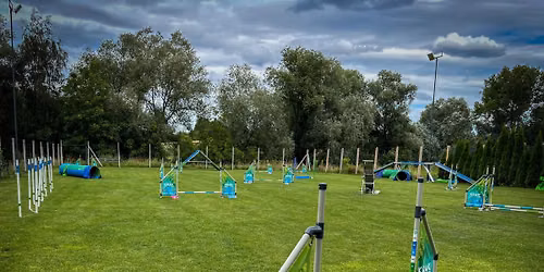 KRAK AGILITY CUP vol. 4 - ostatnia edycja w Koszkwi