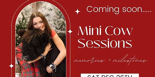 Mini Cow Session - SELF SERVE PHOTOS