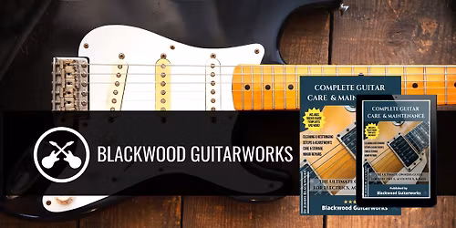 Learn Pro Level Guitar Setups (limited seating)