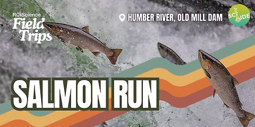Field Trips: Salmon Run