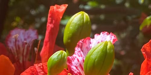 MAJ\u00d3WKOWA "OBFITO\u015a\u0106" warsztat 5Rytm\u00f3w\u00ae z Asi\u0105 Hussakowsk\u0105 