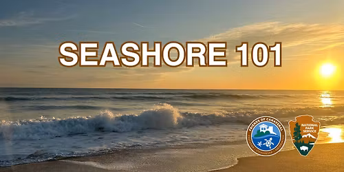 Seashore 101