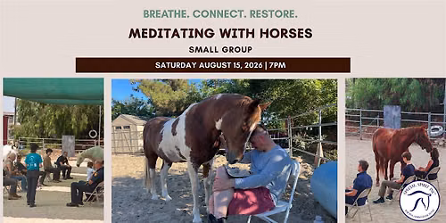 Meditating with Horses