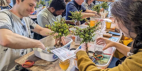 Horticulture Workshop: Bonsai Bar