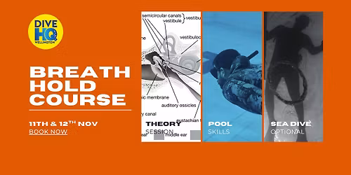 Breath Hold Course