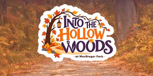 Into the Hollow Woods at MacGregor Park
